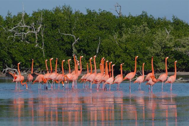 Ría Lagartos Biosphere Reserve